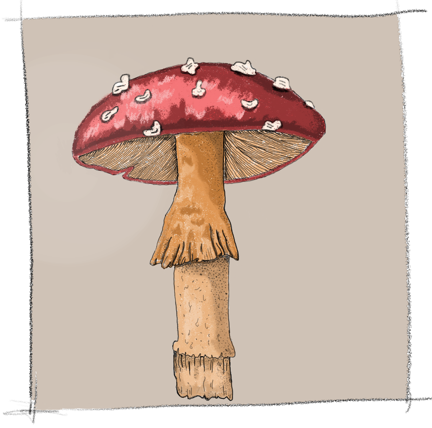 Art 1